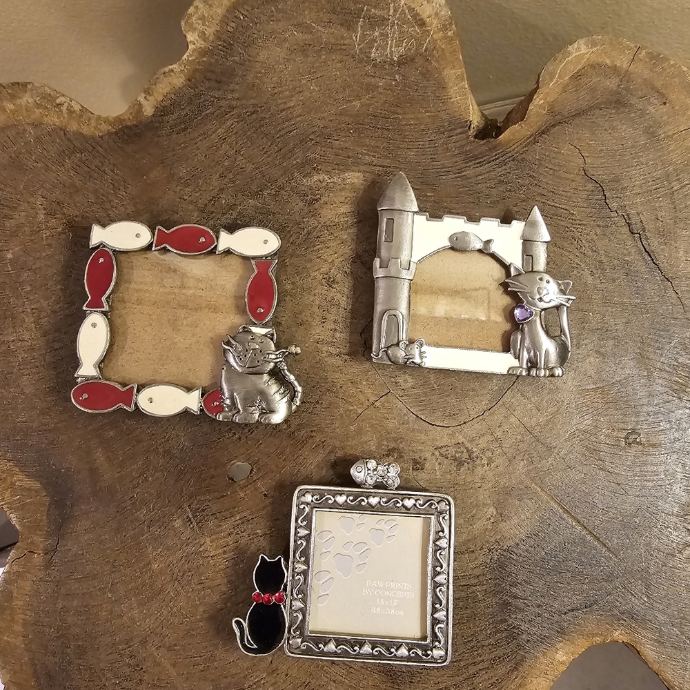 Mini Magnet Cat Frames Brand New